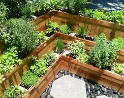 South Florida Chefs Grow Their Own Florida Gardening Herb Garden Garden