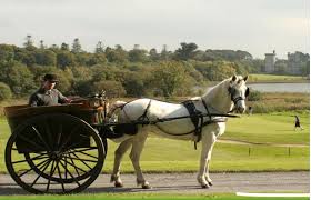 Pony Trap Around Dromoland Castle Golf Course Castle Hotels In Ireland Irish Castle Hotels Ireland Hotels