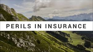 Hazard in the insurance industry: Perils In Insurance Named Peril Open Peril Policy Insured Excluded Uninsured Perils Youtube