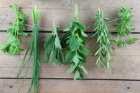 Das große aber der lack trocknet trotzdem nicht. Blatter Von Blumen Und Pflanzen Schnell Trocknen Und Pressen Hausgarten Net