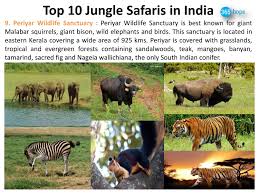 Periyar Wildlife Sanctuary Http Www Authorstream Com Presentation 365hops 2448489 Top 10 Jungle Safaris Indi Jungle Safari Wildlife Safari Wild Elephant