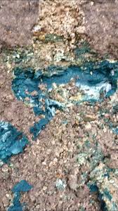 Image result for Blue Rock Green 1934 Fleet