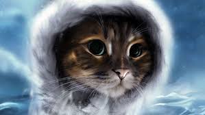 تحميل 100 صورة خلفيات قطط رائعة وعالية الدقة مداد الجليد Funny Cat Photos Cat Feline Cats