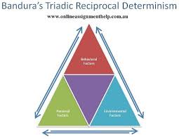 Bandura Social Learning Theory This Assignment Requires You To Apply The Concepts And Theories You Have Le Social Learning Theory Learning Theory Essay Topics