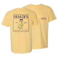 Image result for Yellow 2004 AA