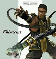 What Is Operation Python Dance Politics Nigeria