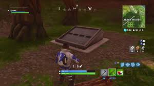 In fortnite season 5, players can find 40 npcs around the map. Fortnite S Mysterious Vault Remains Locked In Wailing Woods At Start Of Season 5 Dot Esports