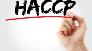 Cache adalah data bersifat sementara yang disimpan pada penyimpanan internal smartphone. Haccp Wiki