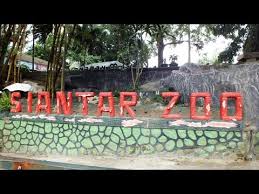 Taman bunga nusantara bogor begonia celosia cibubur bandungan cianjur cibodas bandung wiladatika matahari puncak taman bunga nusantara adalah objek wisata yang letaknya dekat dengan jakarta. Taman Hewan Siantar Video Semedan Com