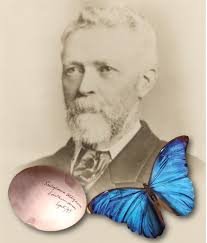 South Canterbury Museum added a...