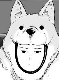 Pin By Terry Mc Ginnis On One Punch Man One Punch Man Manga One Punch Man Anime One Punch Man
