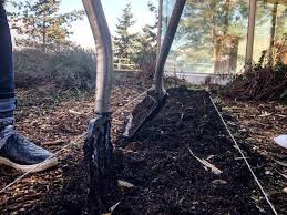 The Weekly Dirt 03.01.23