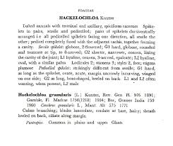 Image result for Hackelochloa