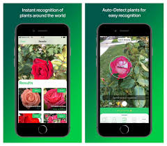 Snap android plant identification app. Plantsnap Flowers Plants Identifying Astuce For Android Apk Download