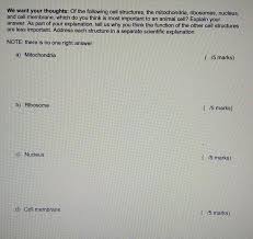 Assessment | biopsychology | comparative | cognitive | developmental | language | individual differences | personality | philosophy | social | methods | statistics | clinical | educational | industrial | professional items | world psychology |. Solved We Want Your Thoughts Of The Following Cell Struc Chegg Com