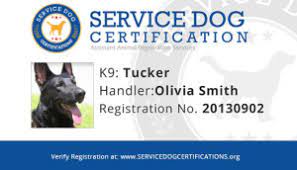 If applying for a new service dog license, please include proof of service dog status, such as papers from a training agency. California Service Dog Requirements Service Dog Certifications