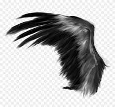 Angelic wings brush.free download photoshop free brushes from category birds. Wings Feathers Black Angel Bird Wing Freetoedit Wings Png Clipart 2189366 Pikpng