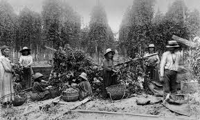 White Farmers In The American West: 1800S | The West | Pbs Learningmedia