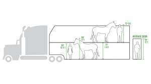 Tierische spitzensportler unterwegs nach tokio: Pferde Transport Im Doppeldecker Anhanger In Den Usa Noch Immer Moglich Propferd At Osterreichs Unabhangiges Pferde Portal News Aktuelle News