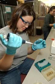 Biochemistry And Molecular Biology Professor Scott Summers And Zoology Senior Alison White Discuss The Colorado State University Molecular Biology Biochemistry