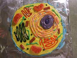 Check spelling or type a new query. Animal Cell Cake By Arrinsoup On Deviantart