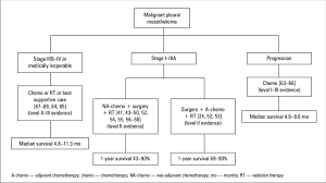 The five year survival rate for mesothelioma is approximately 6.3%. Treatment Algorithm For Malignant Pleural Mesothelioma Download Scientific Diagram