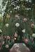 Corporate Event Decoration Ideas