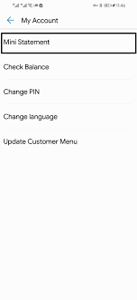 Also download the document containing terms and conditions as regards to obtaining an mpesa pay bill number. How To Get Your Safaricom M Pesa Account Statement Dignited