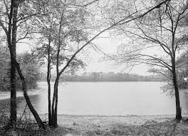From wikipedia, the free encyclopedia. Two Sturdy Oaks Lapham S Quarterly