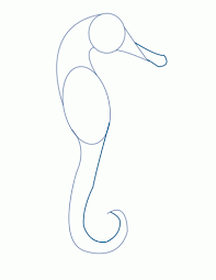 How to draw a sea horse. How To Draw A Seahorse Sketchbooknation Com
