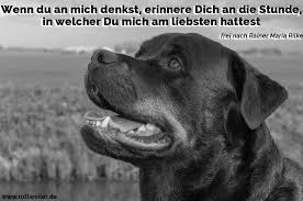 Rottweiler Zitate Und Sprüche