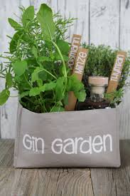 Gin Garden In 2020 Geschenke Selbstgemachte Geschenke Selbstgemachte Geschenke Geburtstag