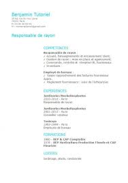 Modele De Cv Open Office Archives Modele De Cv Curriculum Vitae A Telecharger Gratuitement Exemple Cv Gratuit Exemple Cv Modele Cv