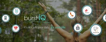 Hasil gambar untuk BurstIQ bounty