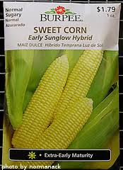 Maybe you would like to learn more about one of these? Sweet Corn Varieties