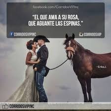 Corridos Vip Timeline Spanish Quotes Soulmate Quotes Narcos Quotes