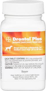 Drontal Plus Tablets For Dogs 26 60 Lbs 1 Tablet Chewy Com