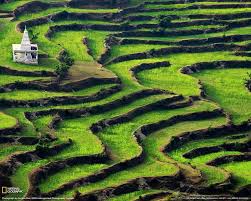 Beautiful Places On Earth Wallpaper Ranikhet Hill Station 502714 Hd Wallpaper Backgrounds Download You can set it as lockscreen or wallpaper of windows 10 pc, android or iphone mobile or mac book background image. hd wallpaper backgrounds download