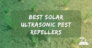Pestzilla™ robust solar powered ultrasonic and flashing led. 10 Best Solar Ultrasonic Pest Repellers 2021 Reviews Solar Tree