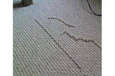 Maybe you would like to learn more about one of these? 32 Carpet Repair Ideas Carpet Repair Carpet Repair