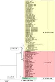 Your email address will not be used for any other purpose, and you can unsubscribe at any time. Molecular Dna Based Spatial Mapping Technique Predicting Diversity And Distribution Of Otters Lutrinae In Peninsular Malaysia Using Non Invasive Fecal Samples Springerlink