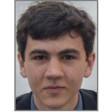 About the Team — Follette Lab