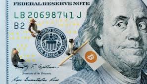 TradePort sees revenue growth, adds new blockchains