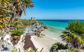 Sargazo en tulum informe e imagenes impactantes 100% reales sobre el estado catatstrofico de las playas de tulum y ribera maya llenas de sargazo no dejes. Sargazo Archive Tulum