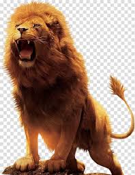 Roaring Lion Illustration Aslan Lion Desktop Lion Transparent Background Png Clipart Hiclipart The best selection of royalty free lioness roaring vector art, graphics and stock illustrations. roaring lion illustration aslan lion