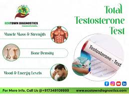 Image result for Total Testosterone