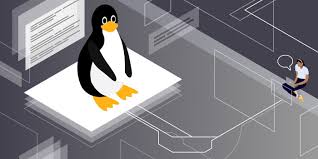 Interface for automated vulnerability scanning