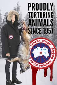 Tell Canada Goose Ditch All Fur And Down Animal Abuse Animals Animals Friends