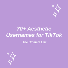 (no aesthetic usernames please) aesthetic clothing brand name! 70 Aesthetic Usernames For Tiktok The Ultimate List Turbofuture