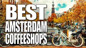 16 bnsf in the hills. Die 15 Besten Coffeeshops In Amsterdam Zamnesia Blog